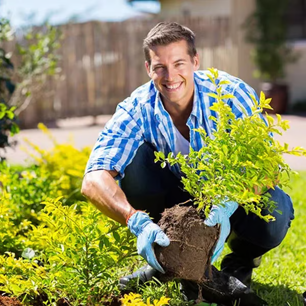 sparen Sie 50%! 🌱 Blühende Erde – mit ECOCERT-Power🔔 Verbessern Sie Ihren Boden JETZT