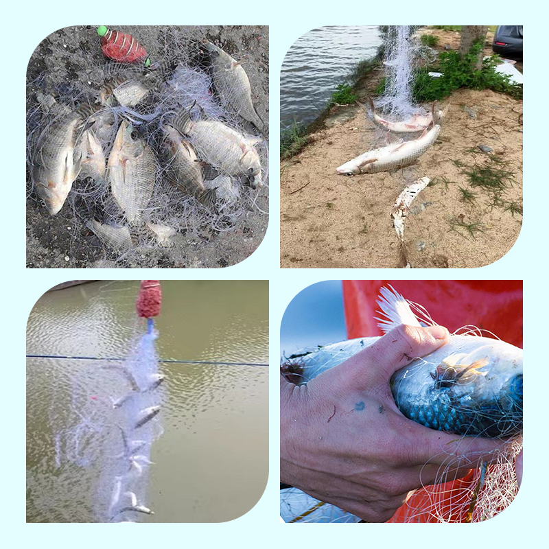 🔥2025 Hot Sale 49% Rabatt🔥Fischkiemennetz mit Federköderfalle