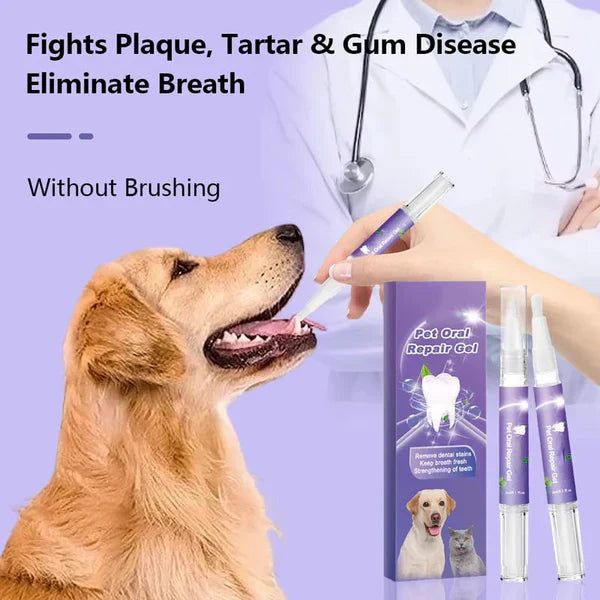 âłBegrenzte Zeit 50% Rabattđ„Zahnreparaturgel fĂŒr Hund und Katze