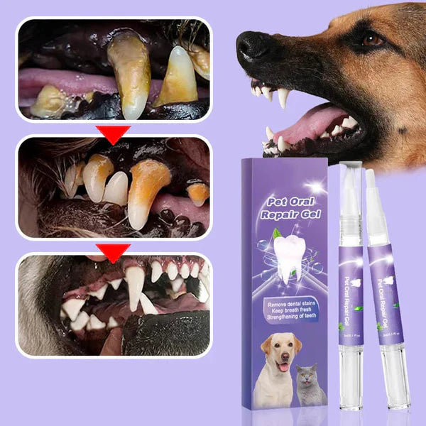 âłBegrenzte Zeit 50% Rabattđ„Zahnreparaturgel fĂŒr Hund und Katze