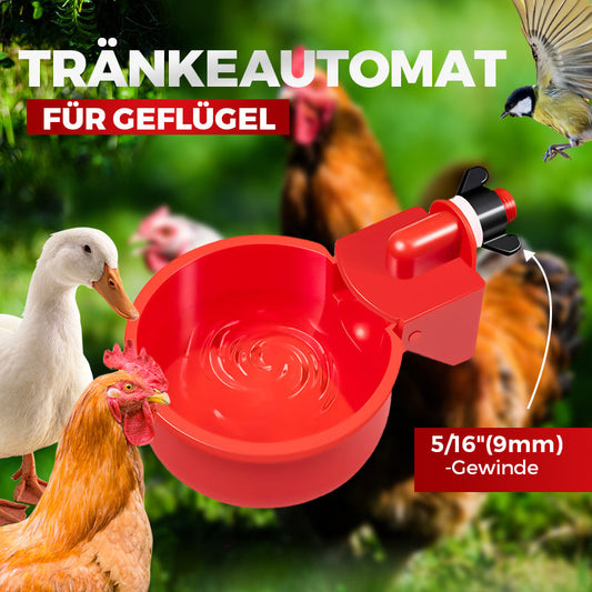 🔥🔥Geschenk für Hühnerliebhaber 49% OFF--🔥Automatische Hühnertränke Vogelhäuschen
