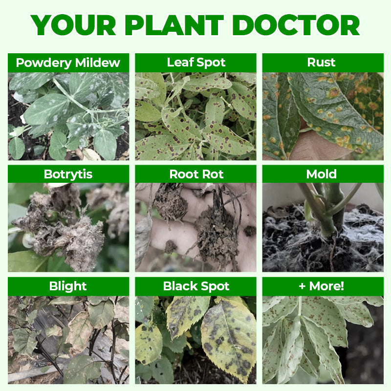 🌱 Blühende Pflanzen, ganz natürlich und mühelos – 🔔 Verbessern Sie sofort Ihre Pflanzen und sparen Sie 50 %! 🌱