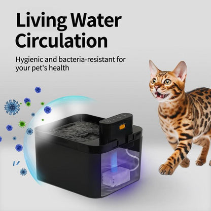 🎁Automatischer Katzenbrunnen 2,2 L batteriebetriebener Trinkbrunnen für Haustiere mit Bewegungssensor, kabelloses, geräuschloses Design für Hunde und Katzen #TOP-AUSWAHL