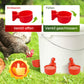 🔥🔥Geschenk für Hühnerliebhaber 49% OFF--🔥Automatische Hühnertränke Vogelhäuschen