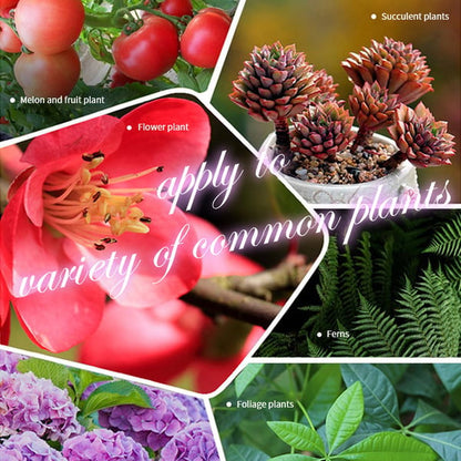 🔥2025 Heißer Verkauf 50%OFF 🌞 Home Gardening Universal Langzeitdünger in Tablettenform Organischer Dünger