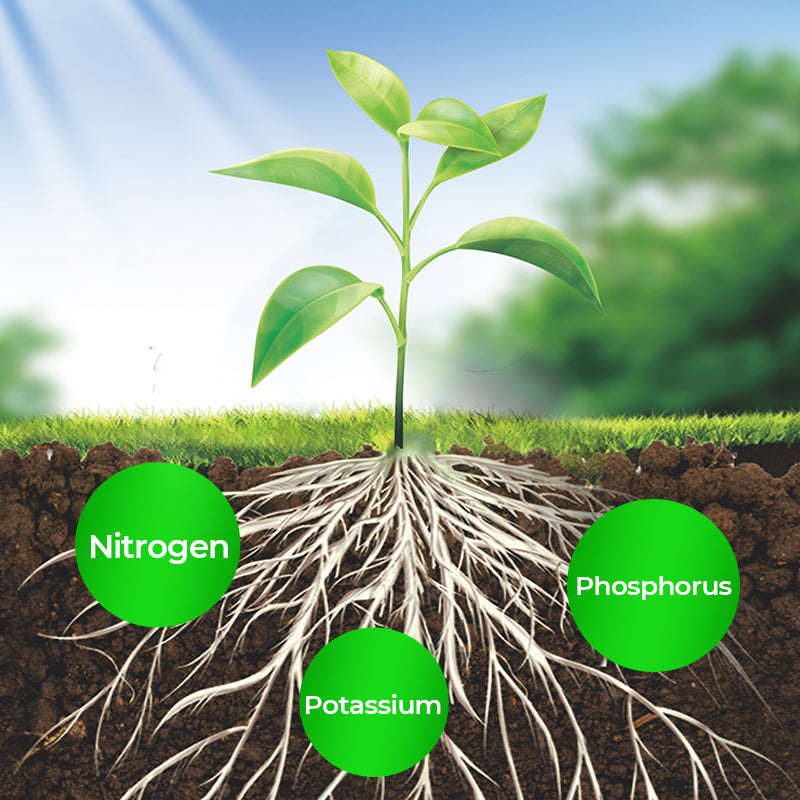 🌱 Blühende Pflanzen, ganz natürlich und mühelos – 🔔 Verbessern Sie sofort Ihre Pflanzen und sparen Sie 50 %! 🌱