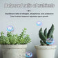 🔥2025 Heißer Verkauf 50%OFF 🌞 Home Gardening Universal Langzeitdünger in Tablettenform Organischer Dünger