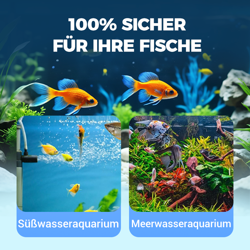 🔥50 % RABATT! 🎵🐟Fischbecken Wasser Leistungsstarke Reinigung🪸