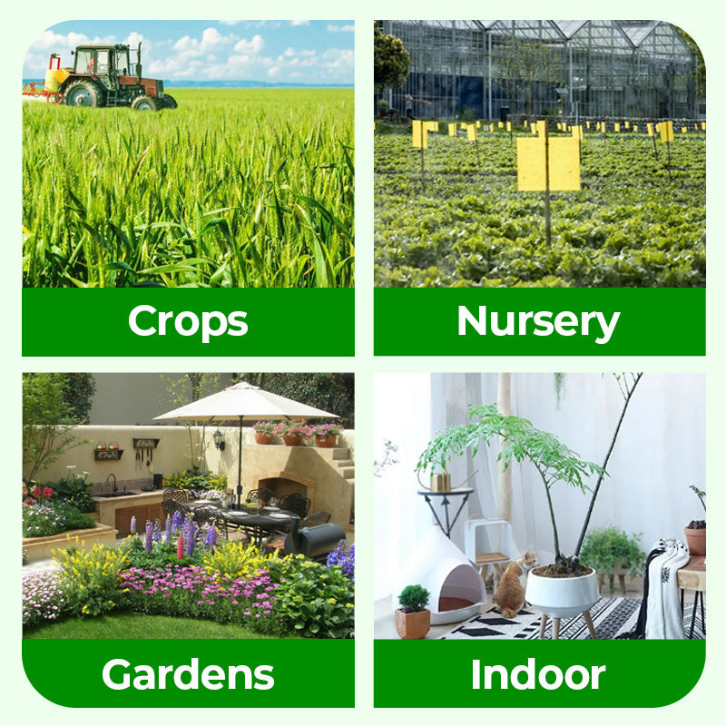 🌱 Blühende Pflanzen, ganz natürlich und mühelos – 🔔 Verbessern Sie sofort Ihre Pflanzen und sparen Sie 50 %! 🌱