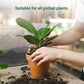 🌟1 kaufen 1 gratis💥 Langzaam vrijkomende organische meststof in stickvorm voor kamerplanten
