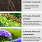 🔥2025 Heißer Verkauf 50%OFF 🌞 Home Gardening Universal Langzeitdünger in Tablettenform Organischer Dünger
