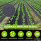 🔥Letzter Tag 50% OFF - Premium Woven Weed Barrier