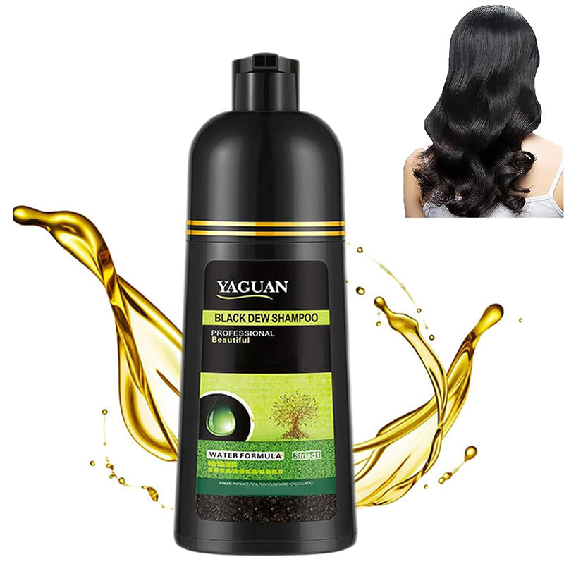 🔥HEISSER VERKAUF 50 % RABATT🎁Shampoo zum Färben grauer Haare auf pflanzlicher Basis