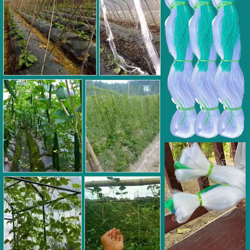 🔥50 % Rabatt für begrenzte Zeit🌿【Kletternetz】— Tomaten und Gurken klettern von selbst hoch und bleiben so vom Boden fern, damit du dich beim Pflücken nicht bücken musst! 🍅✨