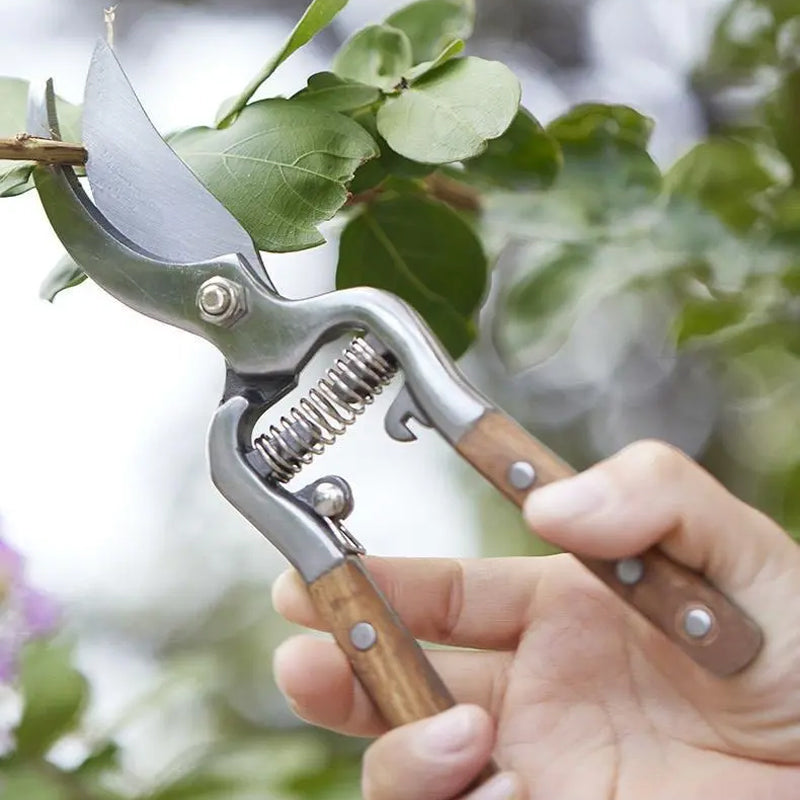 ✂️50 % Rabatt🔥Schwere, scharfe Astschere zum Schneiden von Ästen🔥