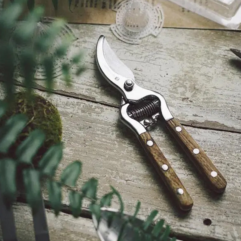 ✂️50 % Rabatt🔥Schwere, scharfe Astschere zum Schneiden von Ästen🔥