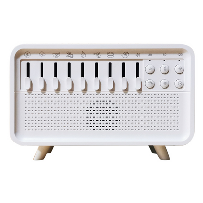 💥Sonderangebot💥Multifunktionaler Bluetooth-Lautsprecher mit Luftbefeuchter und Nachtlicht