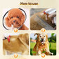 🥇BUY 1 GET 1 FREE🔥Floh- und Zeckenschutzspray für Katzen und Hunde