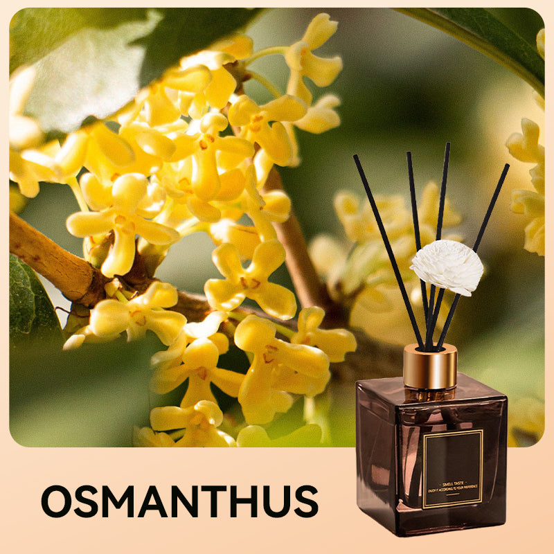 🔥Heißer Verkauf🔥Lang anhaltender Duft für die Aromatherapie zu Hause