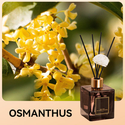 🔥Heißer Verkauf🔥Lang anhaltender Duft für die Aromatherapie zu Hause