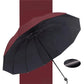 ☂️12-Rib Large Foldable Windproof Umbrella⛱️