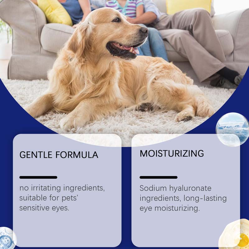 🎁2 kaufen 1 gratis🌿Augentropfen für Hunde & Katzen 🐶🐱💧