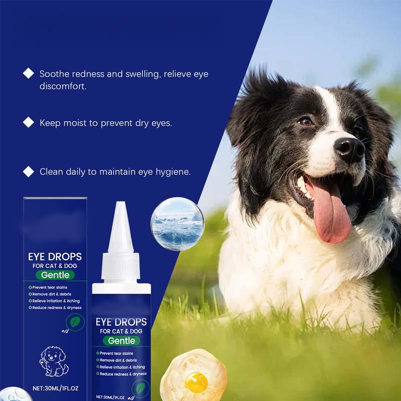 🎁2 kaufen 1 gratis🌿Augentropfen für Hunde & Katzen 🐶🐱💧