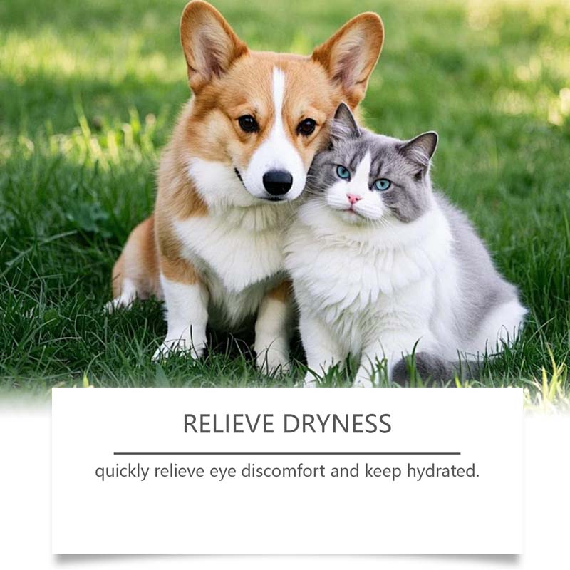 🎁2 kaufen 1 gratis🌿Augentropfen für Hunde & Katzen 🐶🐱💧