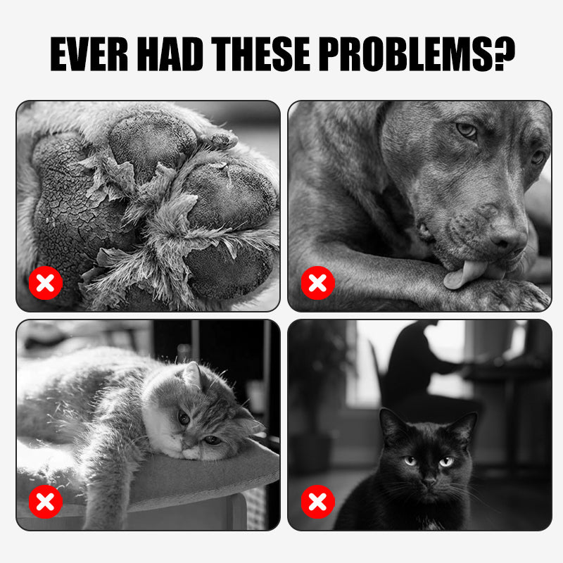 ⏳Begrenzte Zeit 50% Rabatt💥Lindernder Pfotenbalsam für rissige Hunde- und Katzenpfoten