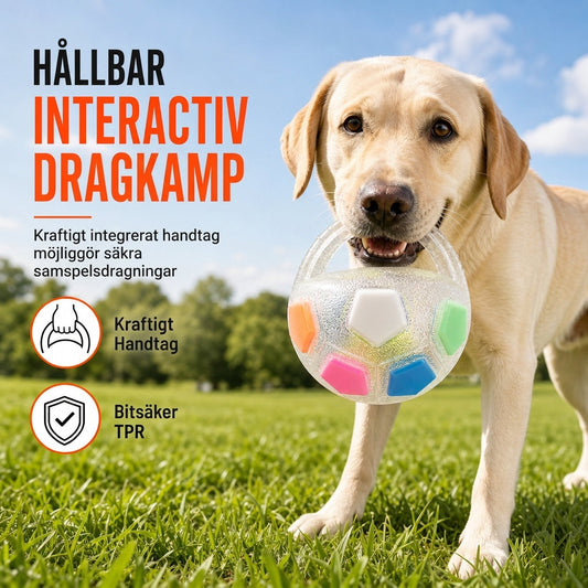 ⚽ 53% RABATT! 🐕 Interaktiv hundfotbollsleksak med greppöglor, perfekt för aktiv lek med hunden 🐾✨